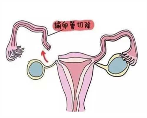 借卵子医院,北京试管助孕微信群北京哪家官方艾滋病试管机构的助孕技术最好